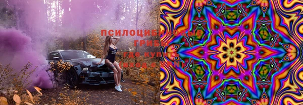 мяу мяу мука Арсеньев
